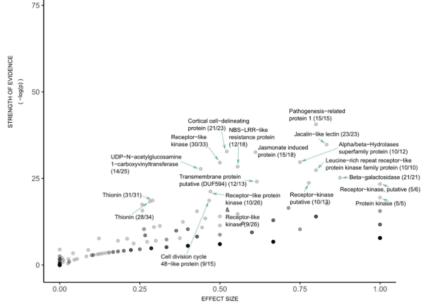 … as a result, genes associated with replication-inducing elements tend to be involved in evolutionary arms races.