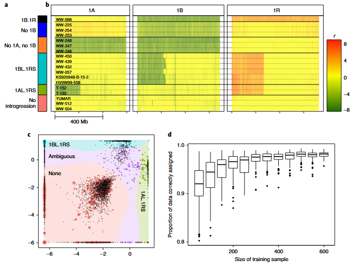 A machine learning approach can very effectively identify introgressions of rye chromatin into commercial wheats. This confers a significant yield benefit.