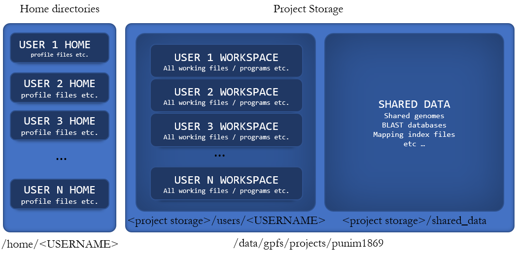 Structure of storage on Spartan